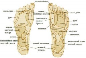 стопы ног, биологически активные точки, массаж