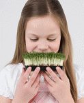 greens зелень