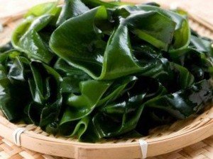 vodorosli полезные водоросли