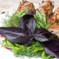 shashlik-s-travami Шашлык пряный деревенский
