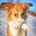 zastenchivost я застенчивая что делать